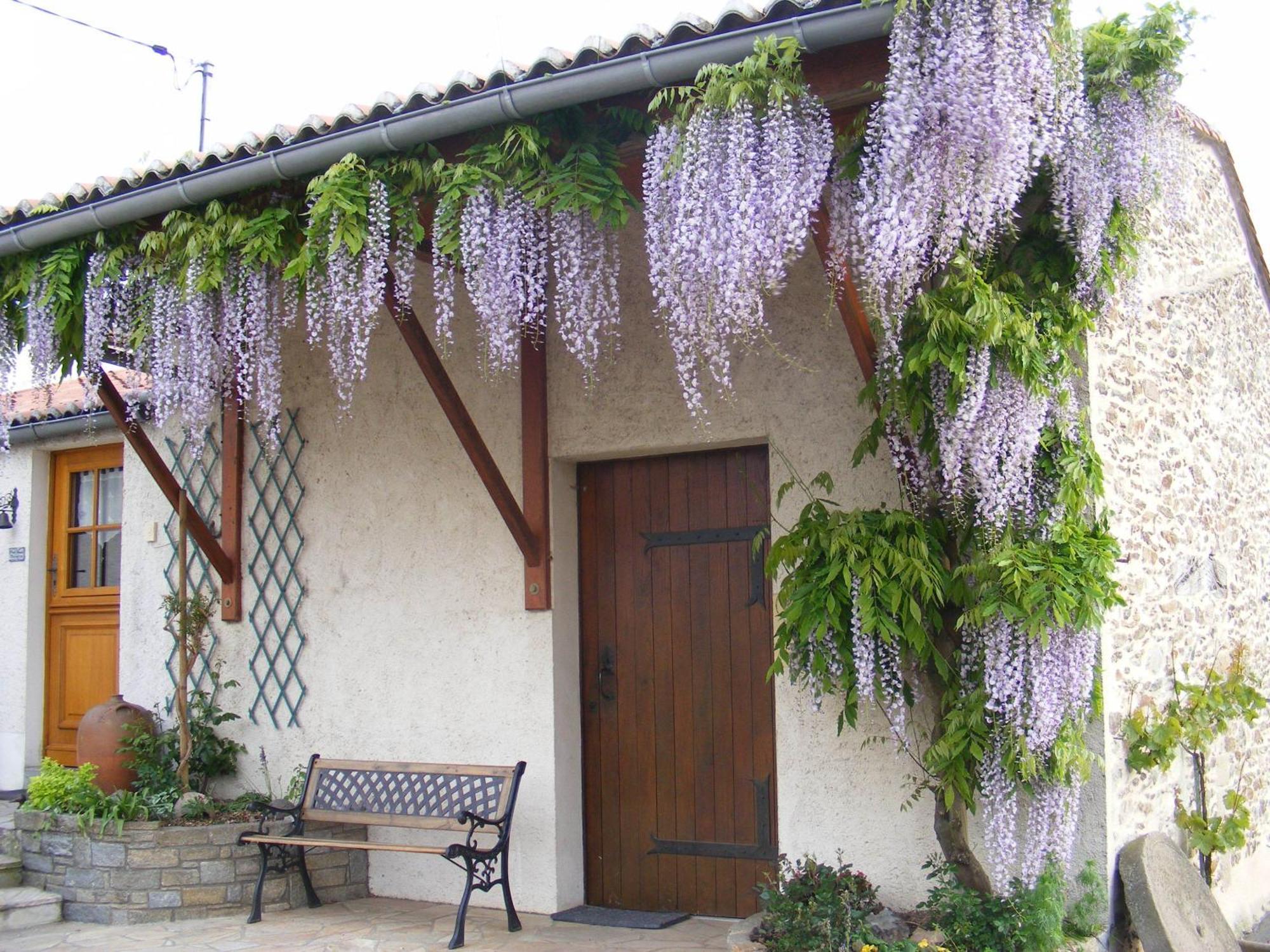 Chambres D'Hotes Vignes Et Loire Drain Exterior photo